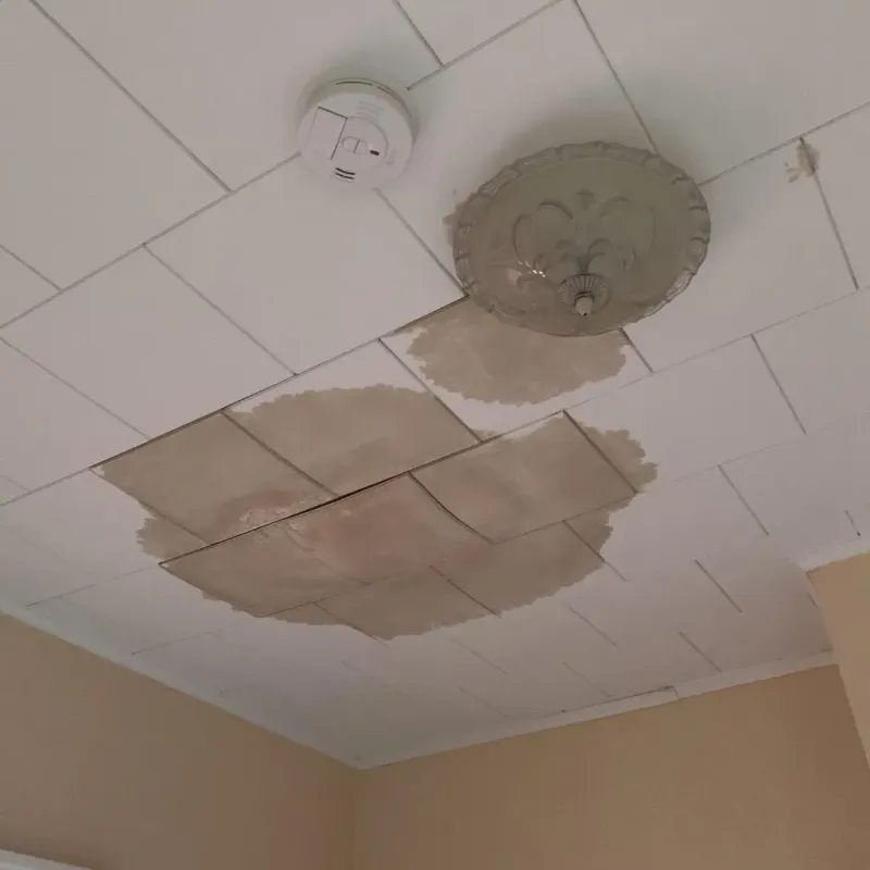 Ceiling Water Damage Repair in Tioga County, NY