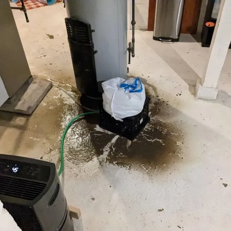 Sewage Backup Cleanup Service in Tioga County, NY